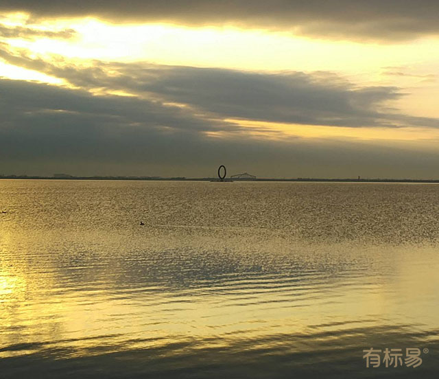 有标易形象图